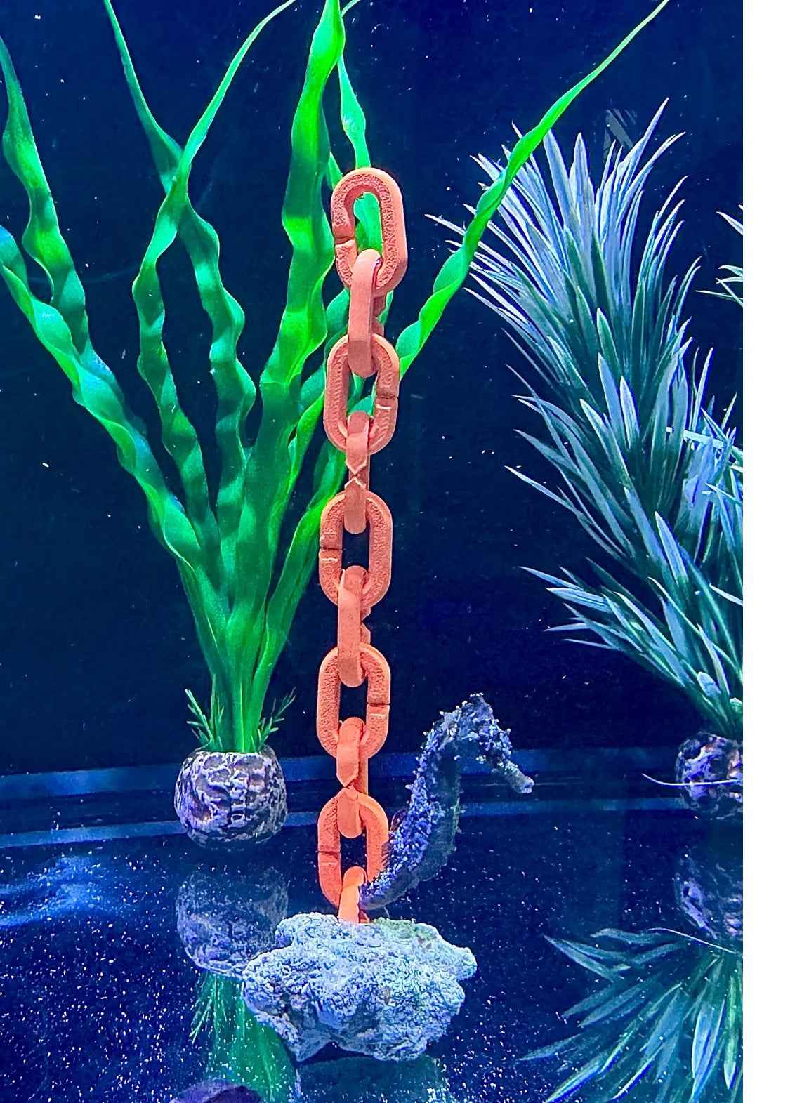 Seahorse Chain Natural Base