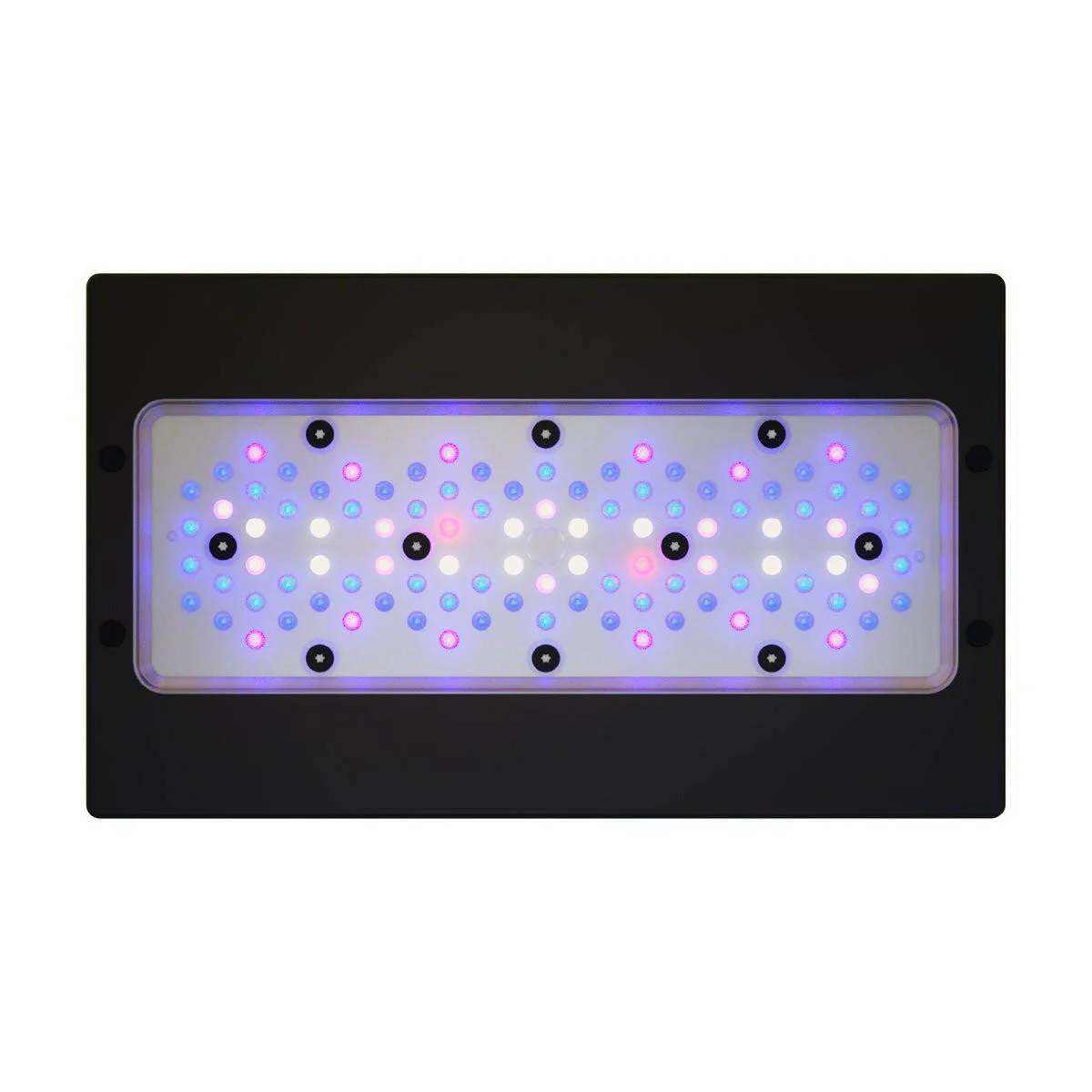 Radion XR30 Gen 6 LED Light