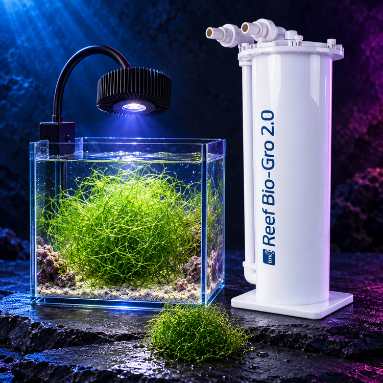 Refugium