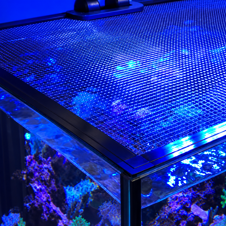 Jumpguards for my Tank