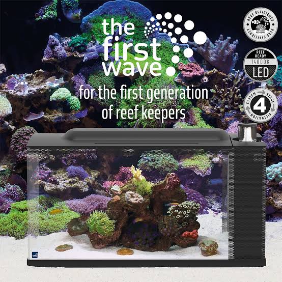 Starter Systems