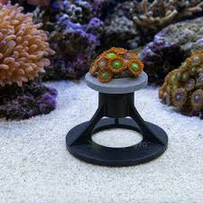 Coral accessories & Frag Racks