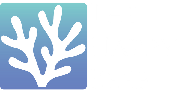 The Happy Reef