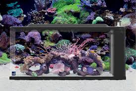First Wave 78L Aquarium System (TMC)