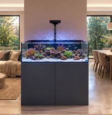 Reef Habitat 90 Shallow