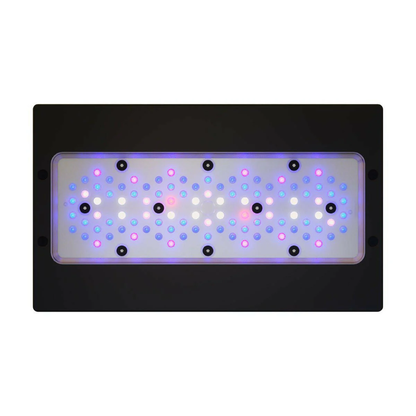 Radion XR30 Gen 6 LED Light