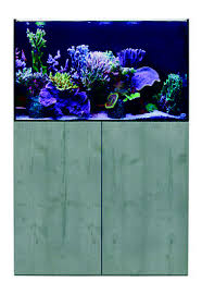 Reef SYS 255 Aquarium