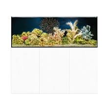 Reef SYS 434 Aquarium