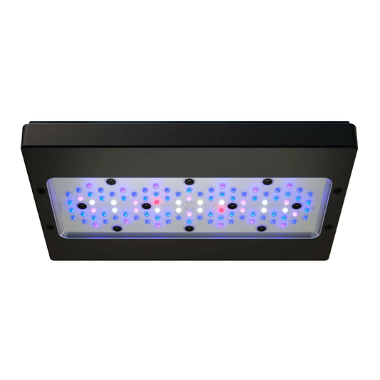 Radion XR30 Gen 6 LED Light