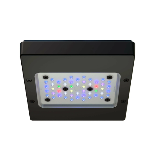 Radion XR15 Gen 6 LED Light