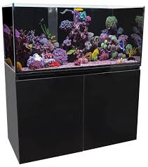 Reef SYS 326 Aquarium