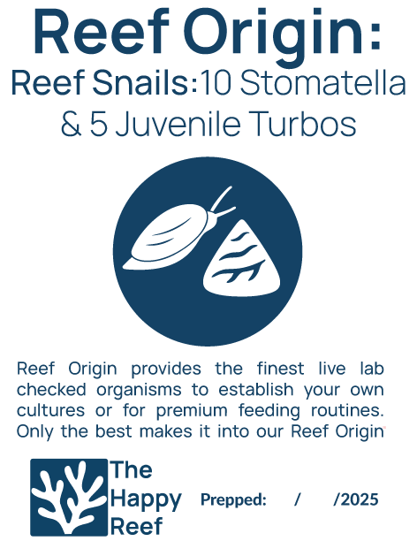 Reef Origin: Reef Snails