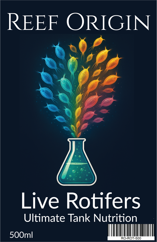 Reef Origin: Rotifers