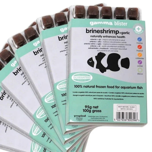Gamma Brineshrimp with Garlic 100g Blister Pack