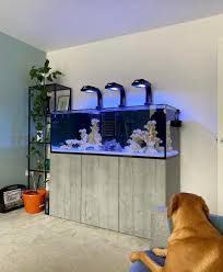 Reef SYS 434 Aquarium