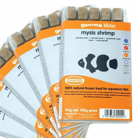 Tropical Marine Centre Gamma Frozen Food Mysis Shrimp Blister Pack Fish Food, 570 grams, Pack of 6